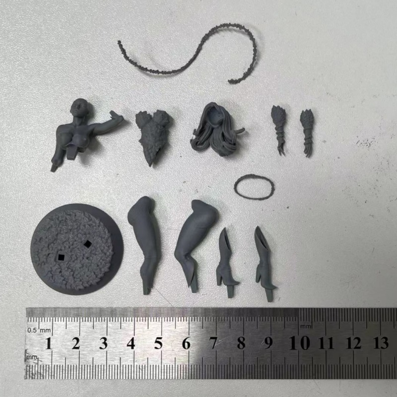 1/24 ölçekli orman kraliçe bil - Science Hobby Kit incelemesi ve fiyatı